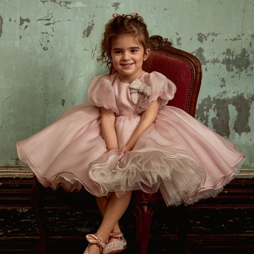 Shiny Elegant Dusty Rose Girl Dress with Bow Princess J257