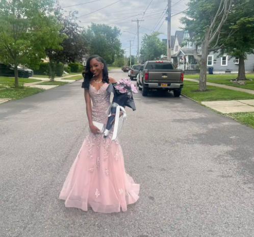 Chic Spaghetti Strap Mermaid Pink Prom Dresses Tulle Applique Pink Evening Dresses ED04947