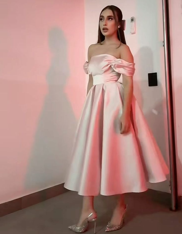 Pretty A-Line Off Shoulder Pink Prom Dresses Formal Evening Dress    cg25864