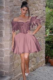 Off the Shoulder Sleeveless Short A Line Homecoming Dress With Feather HC0175