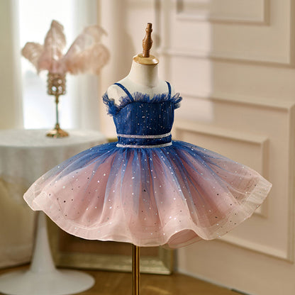 Lovely Blue Flower Girl Dress Princess Birthday Party Gown D159