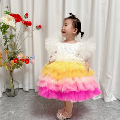 Floral Sequin Knee Length Baby Birthday Girl Dress J275