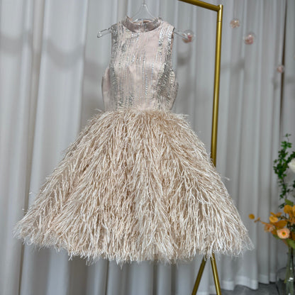 Luxury Champagne Girl Dress Feathers Dubai Kids Pink J323