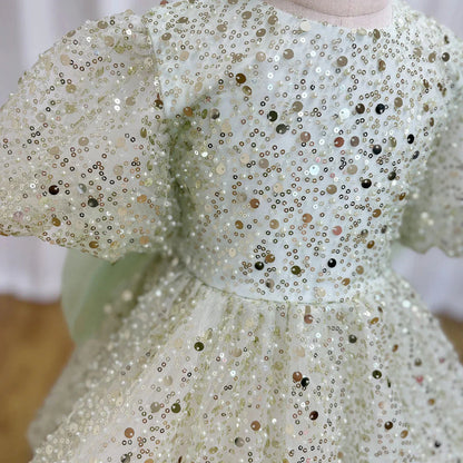 Luxury Elegant Shiny Sage Girl Dress Bow Princess Baby Kids J156