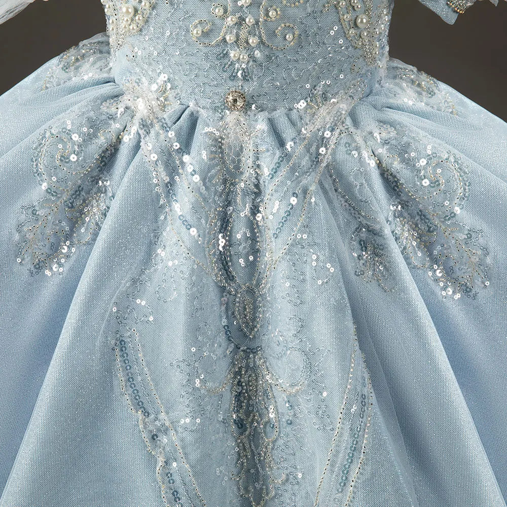 Luxury Sky Blue Flower Girl Dresses with Pearls Beading Princess J014