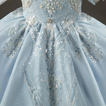 Luxury Sky Blue Flower Girl Dresses with Pearls Beading Princess J014