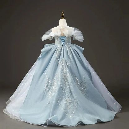 Luxury Sky Blue Flower Girl Dresses with Pearls Beading Princess J014