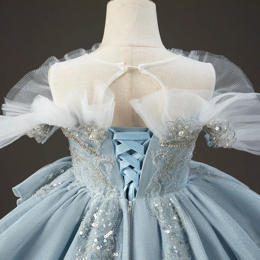 Luxury Sky Blue Flower Girl Dresses with Pearls Beading Princess J014