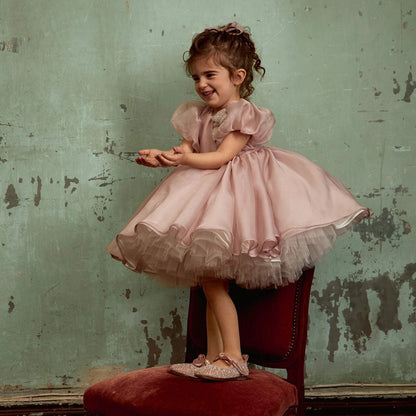 Shiny Elegant Dusty Rose Girl Dress with Bow Princess J257