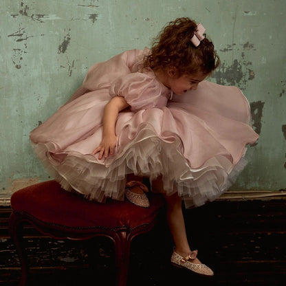 Shiny Elegant Dusty Rose Girl Dress with Bow Princess J257