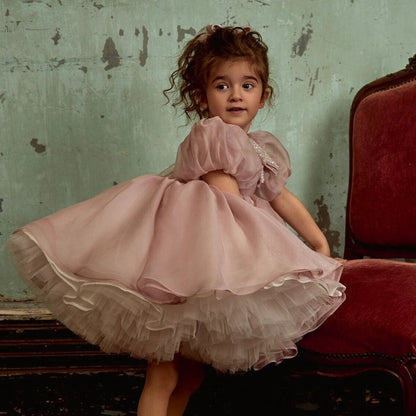 Shiny Elegant Dusty Rose Girl Dress with Bow Princess J257