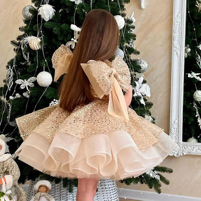 Sparkly White Girl Dress Big Bow Champagne Pink Princess Kids J343