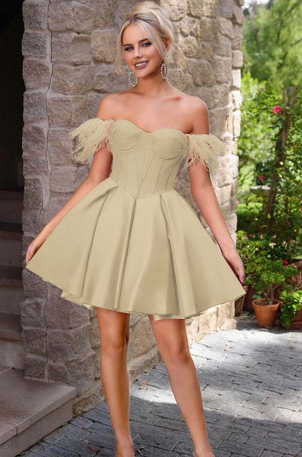 Off the Shoulder Sweetheart Sleeveless Short A Line Homecoming Dress With Feather HC0176