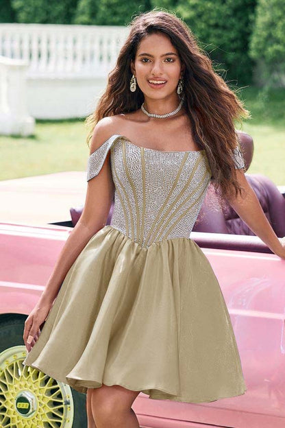 Off the Shoulder Sleeveless Short Homecoming Dress With Appliques HC0126