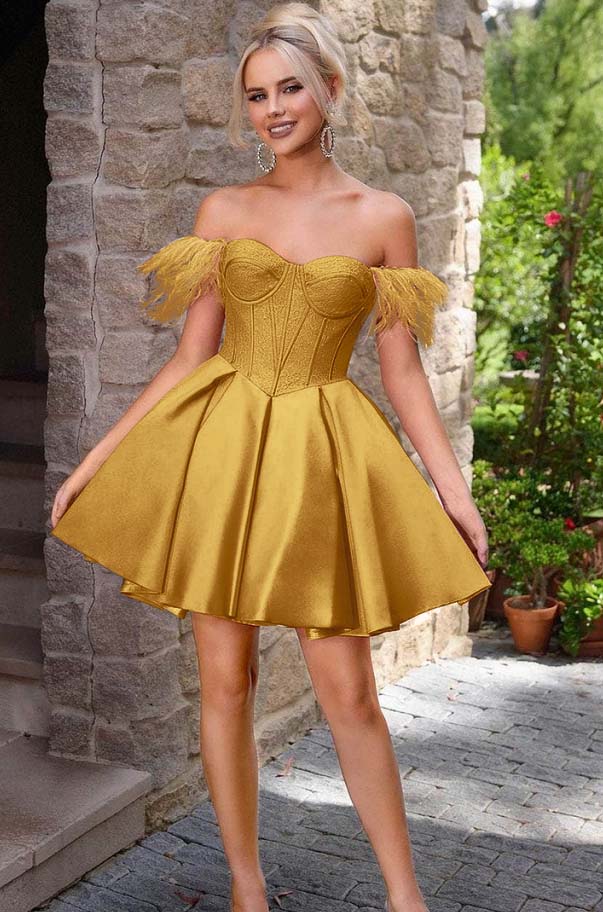 Off the Shoulder Sweetheart Sleeveless Short A Line Homecoming Dress With Feather HC0176