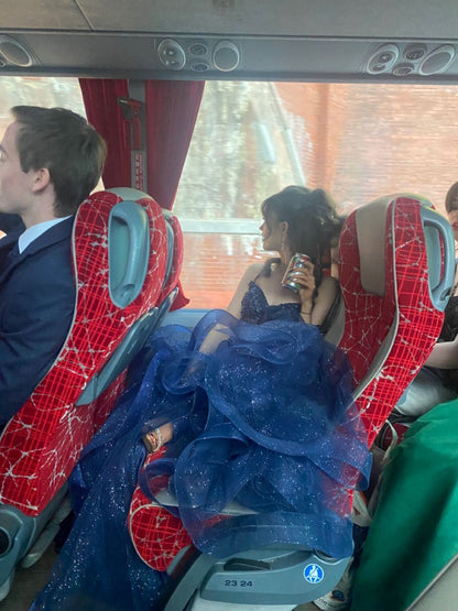 A Line Blue Shinny Tulle Party Dress Long Evening Dress Vintage Prom Dress    fg8153