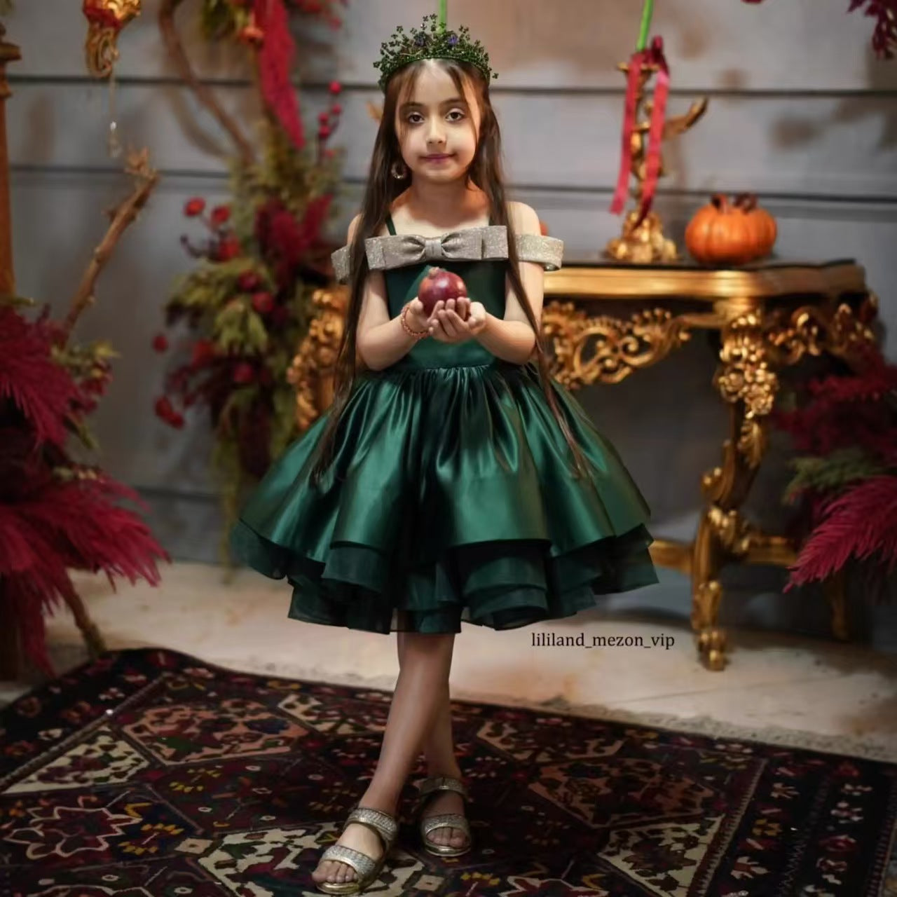 Luxury Princess Style Flower Girl Dress Birthday Party Outfit D168