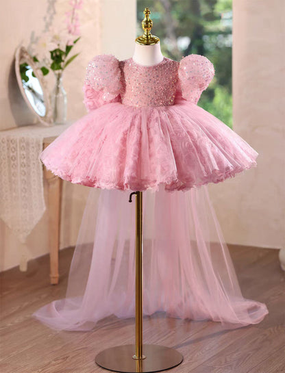 Princess Style Pink Flower Girl Gown for Birthday and Wedding D160
