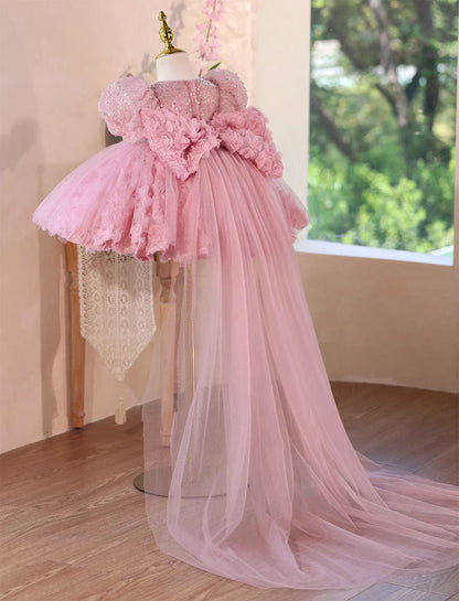 Princess Style Pink Flower Girl Gown for Birthday and Wedding D160
