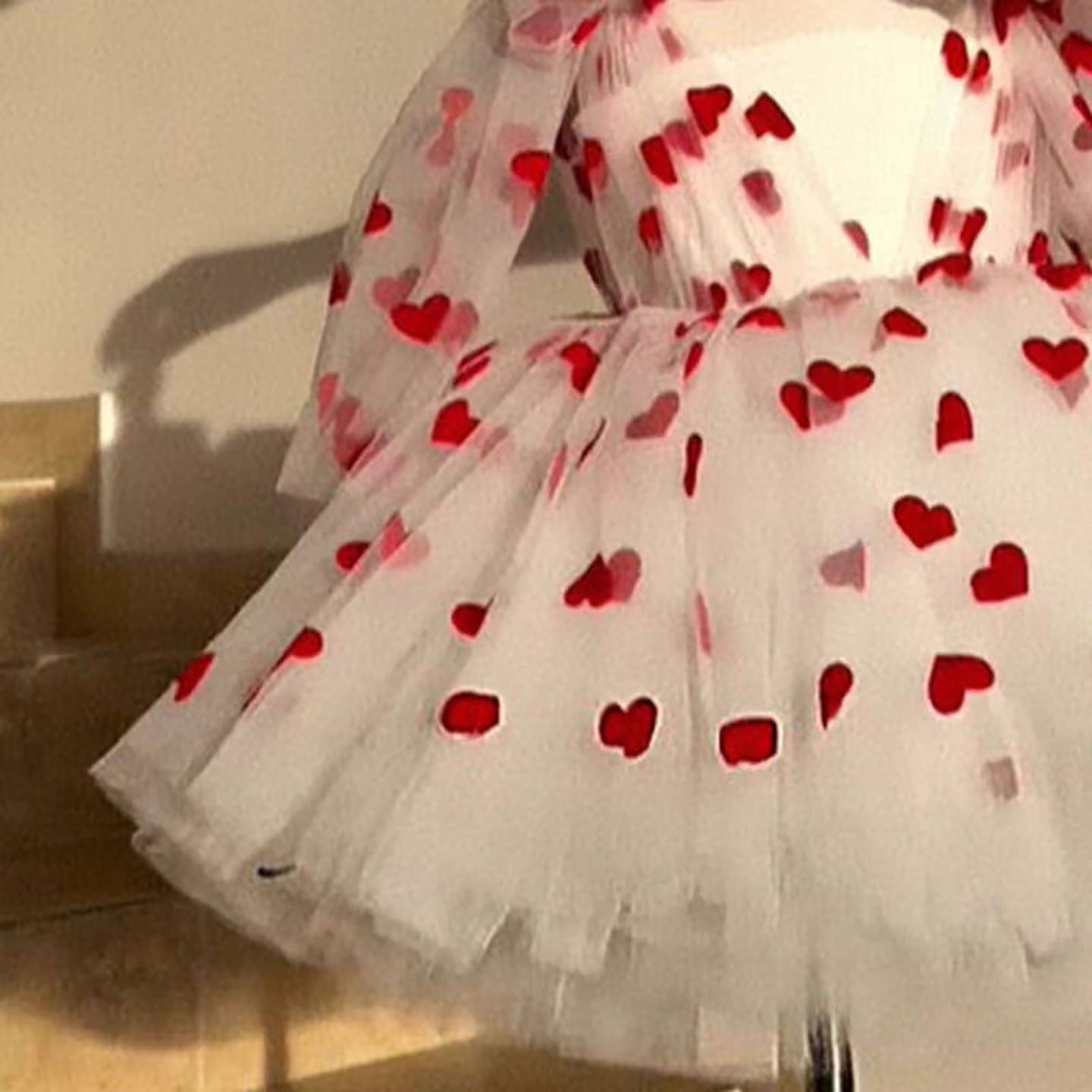 V-Neck Long Sleeve Tulle Flower Girl Dress with Bow D059