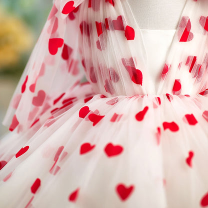 V-Neck Long Sleeve Tulle Flower Girl Dress with Bow D059